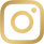 Icone Instagram
